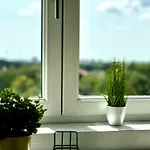 Park View *